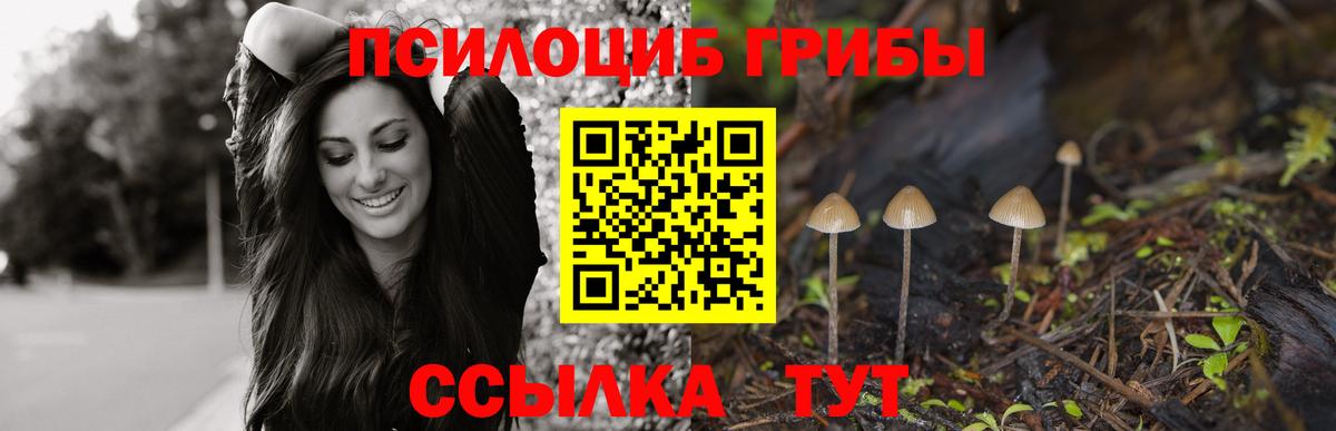 Галлюциногенные грибы Psilocybe  Вход с VPN  Ставрополь 